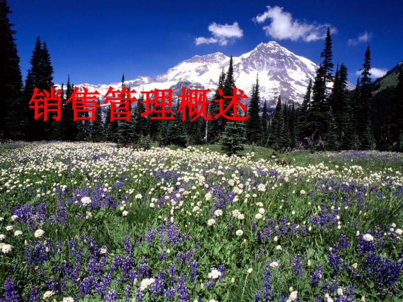 销售管理在企业营销体系中的核心地位探析